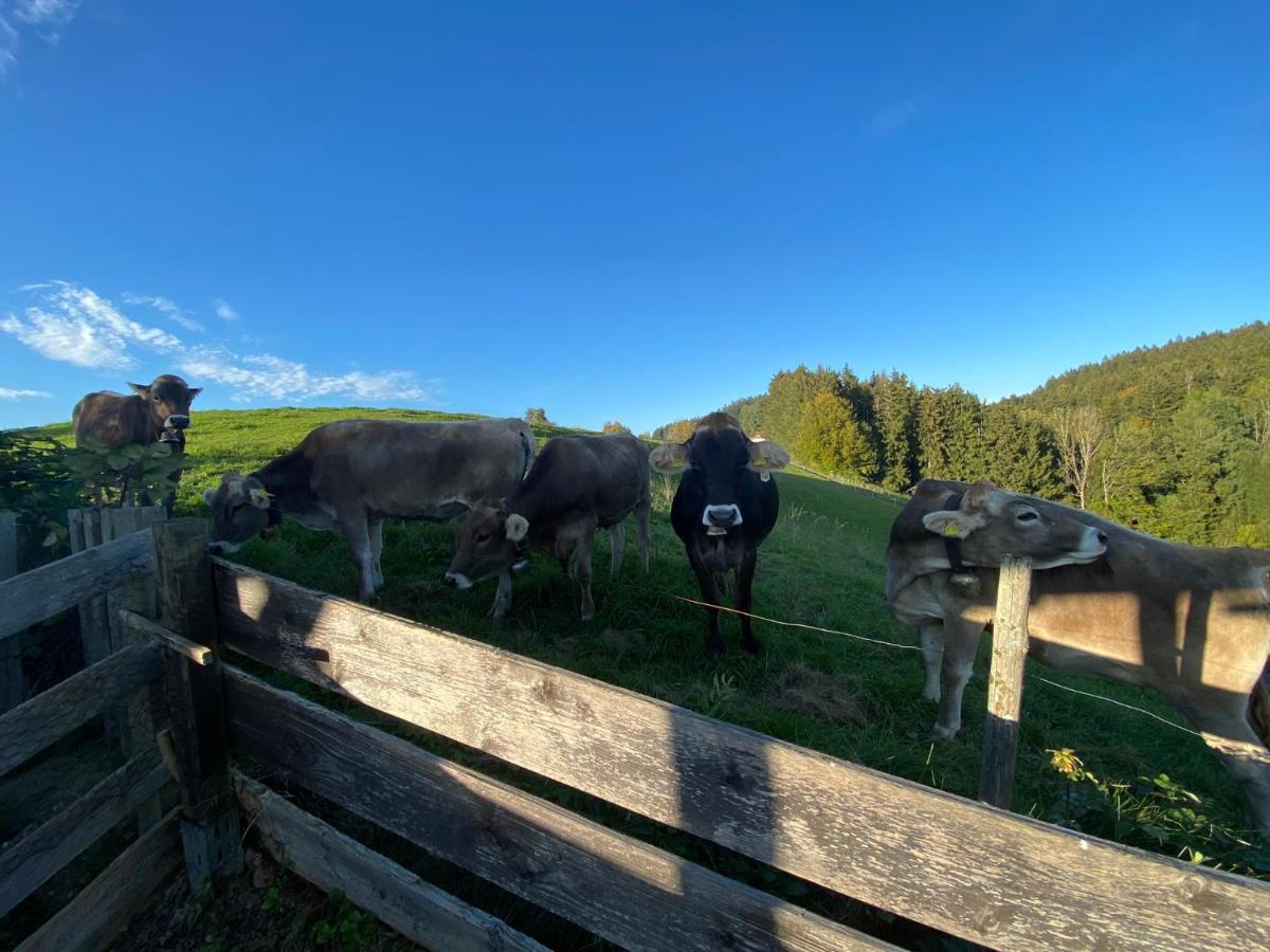 Ferienwohnung Bergblick Wangen Im Allgaeu Mit Garten, 2022 Komplett Renoviert Ngoại thất bức ảnh